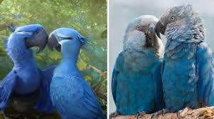 Weird Bird From Finding Dory Blue Macaw Parrot As Seen In Movie Rio Is Now Extinct In 2020 Blue Macaw Macaw Parrot Macaw