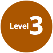 Level 3 is lesser known in the consumer world than centurylink, which provides internet, phone and buying level 3 expands centurylink's presence significantly. Geriatric Emergency Department Accreditation Geda Bronze Level 3