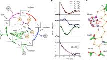 What Is The Source Of Oxygen In Photosynthesis? - Quora