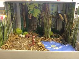 Biome In A Box Wetland Biome Wetland Biome Habitats Projects Ecosystems Projects