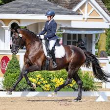 Les jeux olympiques équitation : Jo Moran Dressage Startseite Facebook