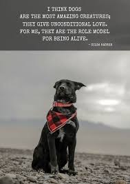 20 Dog Quotes Dog Quotes Dog Quotes Love Old Dog Quotes