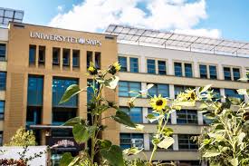 Kształcimy na kierunkach takich jak psychologia, zarządzanie, design, projektowanie, prawo. Swps University Poland Study