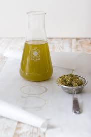 Holunder Holler Holder Holder Elder Alles Bezeichnungen Fur Die Gleiche Heilsame Pfl Holunder Rezepte Holunder Holunderblutensirup Ohne Zitronensaure