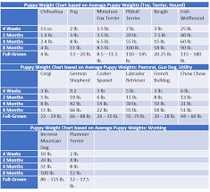 49 Up To Date Giant Breed Puppy Weight Chart