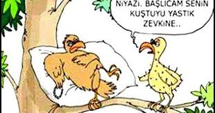 Kus Karikatur Komik Seyler Komik