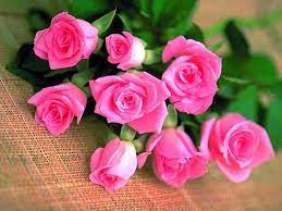 We did not find results for: Wallpapers Flower Rose Love Wallpaper Cave