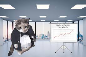 Koteshi691 on X: @mementomarly Business is booming  t.cotM6OnPGYNy  X