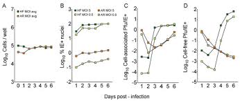 Последние твиты от washington foreskins (@wsh4skins). Microorganisms Free Full Text Cytomegalovirus Strain Tb40 E Restrictions And Adaptations To Growth In Arpe 19 Epithelial Cells Html