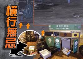 The latest tweets from shanghai international studies university (@sisushanghai). Fw A8jwt9cebm