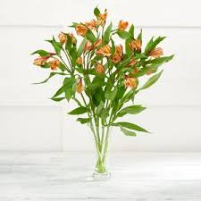 We make it easy to send online flowers. Fresh Flowers Online Buy Flowers Online Sainsbury S