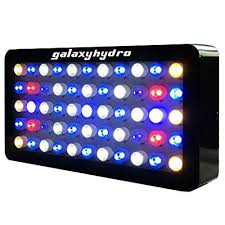 The Best Led Lights For Growing Coral In The Marine Aquarium Aquarium Info