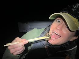 The HEAP (Historical Ecology of Albuquerque Parasites) program has landed!  Today we had our first day of 9 weeks here at the University of New  Mexico's Museum of Southwestern Biology. We'll be