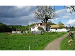 Unsourced material may be challenged and removed. Svartskog Pa Langs
