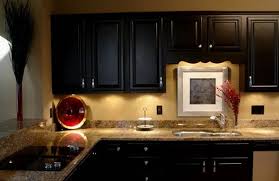 Tan Walls Dark Cupboards Black Kitchen Cabinets Interior Design Kitchen Black Kitchens