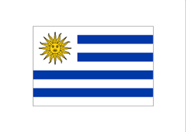 Argentina vs uruguay prediction, the meeting starts on june 19. Historical Memorabilia 3 X5 Argentina Flag Outdoor Banner Pennant Argentine Republic South America 3x5 Collectibles