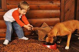 Why Is My Dog Throwing Up Dog Food Dog Throwing Up Dog Stock Images Up Dog