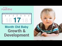 It also reminded me that i need to. 17 Months Old Baby Growth Development Foods And Activities