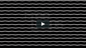 These vj loops were all contributed by archive users. Pin On Brave