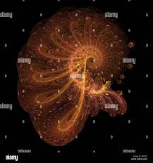 Image result for Pseudopod Ospermum