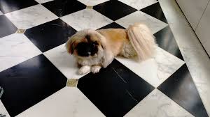 Rather than using vacuum cleaners and brushes that could damage marble tiles, use a soft mop to clean with hot water and soap. How To Clean Marble Floors