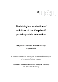 Sekian dulu artikel contoh dari visi misi dari ketua osis untuk jenjang smp dan sma, semoga bisa bermanfaat untuk kamu. Https Discovery Ucl Ac Uk 1473105 9 Phd 20thesis 20mcaschaap Pdf