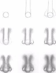 Pin On Nose Drawing