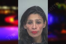 Rodi Valle — Gwinnett County Jail Bookings