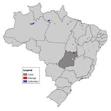 Search our goiás, brazil catholic directory database and connect with the best catholic churches and other catholic directory professionals in goiás, brazil. Kalunga The State Of Goias And Quilombola Communities In Brazil Download Scientific Diagram
