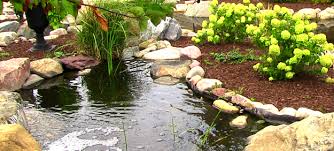 We did not find results for: How Much Does A New Pond Cost