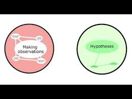 How Science Works California Academy Of Sciences Science Words Science California Academy Of Sciences
