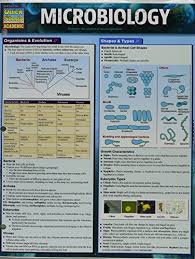 Pdf Get Microbiology Quick Study Academic By Barcharts Inc