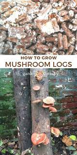North spore visits chuck from shady grove farm in western maine, to see how he makes his. Growing Mushrooms How To Grow Specialty Mushrooms In Your Backyard