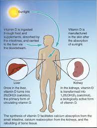 Vitamin D3 The Forgotten Hormone Https Www Postwaves Com Posts Group 5044590361 Nutrition Vitamins Vitamind Ff Vitamin D Vitamins Vitamin D Deficiency