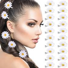 Amazon.com : CHANZET Daisy Hair Clip 20pcs, Mini Flower Tiny Clips  Barrettes for, Cute Small Pins Hairpins Decorative Accessories Women  Toddler Girls Bridal Wedding, White : Beauty & Personal Care