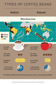 Quality coffee beans will often have a sheen to them; Coffee Infographic Everything You Need To Know About Coffee