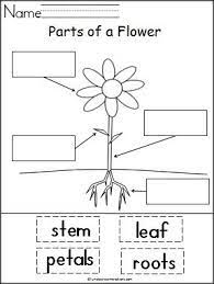 Pin On Teacher Ideas