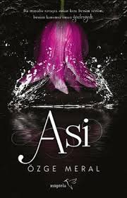 Asi Ozge Meral Pdf Indir Kitapindir In E Kitap Indir Kitap Kitap Onerileri Kitap Listeleri