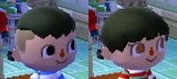 All you have to do is earn. Animal Crossing New Leaf Hair Guide English