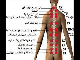 Hacamat Noktalari Dogal Refleksoloji Dogal Saglik