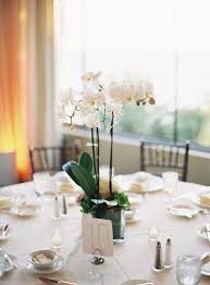 Oceanfront Bel Air Wedding From Patrick Moyer Wedding Photography Films Orchid Centerpieces Wedding Potted Orchid Centerpiece Winter Wedding Centerpieces