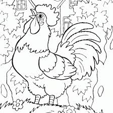 Cute And Beautiful Hens Colour Drawing Hd Wallpaper Coloring Pages Coloring Pictures Chicken Coloring Pages