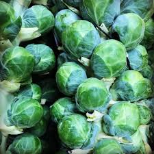 A little research turned up effective solutions, solutions based on knowledge rather than assumption. Growing Brussels Wsu Pierce County Master Gardener Facebook