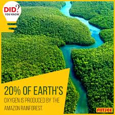 More Than 20 Percent Of The World Oxygen Is Produced In The Amazon Rainforest More Than Half Of The World S E In 2020 Amazon Rainforest Rainforest Tropical Rainforest