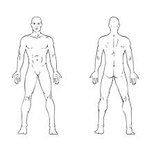 Human body front side back. Body Diagram For Professional Massage Chart Front Back Left And Right Views Icon Or Button Contest 99designs