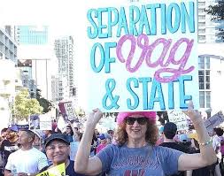 Women S March And Walk For Life A Mile Or A World Apart San Diego Reader