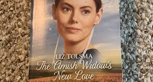 The Amish Widow's New Love and Plain Outsider by Liz Tolsma, Alison Stone