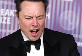 Barnaby Parker (@BarnabyParker)