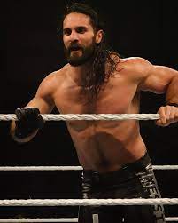 A Imagem Pode Conter 1 Pessoa Wwe Seth Rollins E The Shield Seth Freakin Rollins Wwe Seth Rollins Seth Rollins