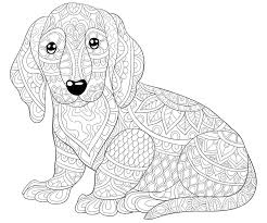On our website, we offer you a wide selection of coloring pages, pictures, photographs and handicrafts. Animal Mandala Coloring Pages Puppies Best Coloring Books Build